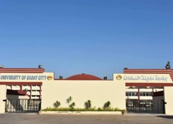 مصاريف جامعة مدينة السادات الأهلية للعام الجامعي 2025