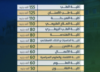 مصروفات جامعة القاهرة الأهلية