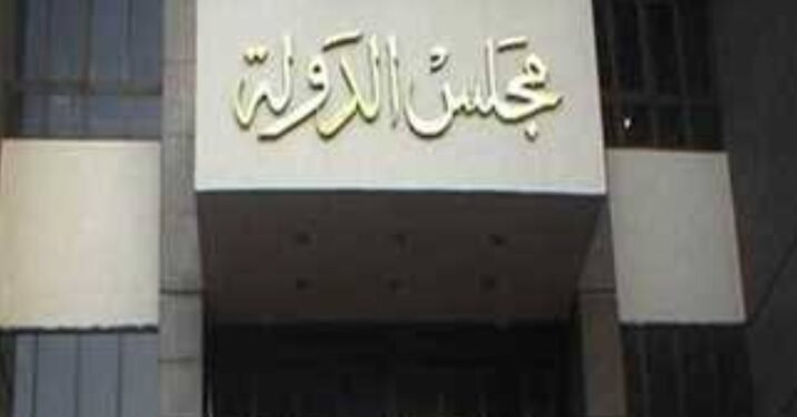 كشف أسماء المقبولين في مجلس الدولة 2025 من دفعتي 2020 و2021 PDF