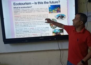 مستر تامر حزين