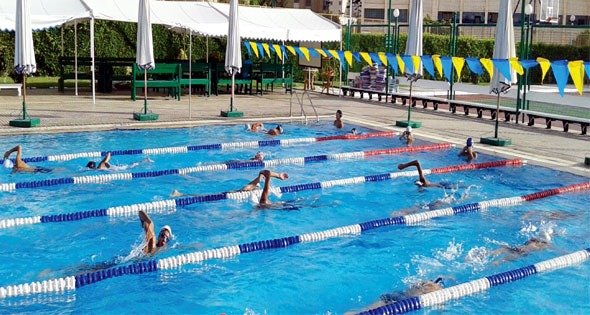 الشروط الكاملة لـ الحافز الرياضي للبطولات لطلاب المدارس 2026