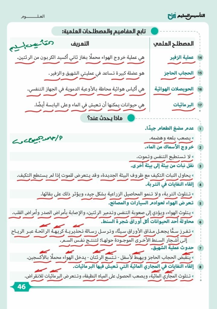 الصف الرابع الابتدائي 2