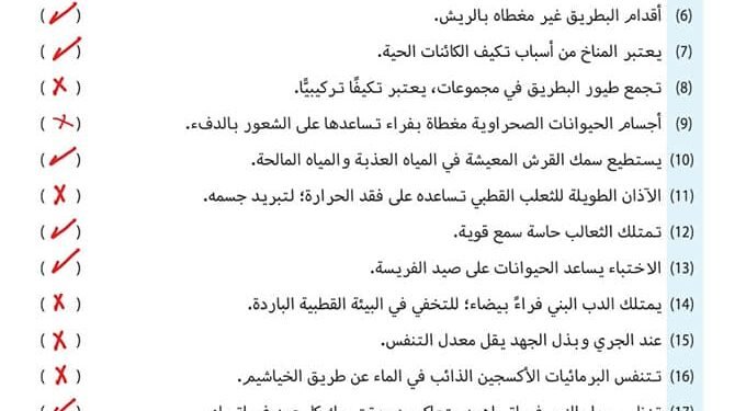 الصف الرابع مراجعة