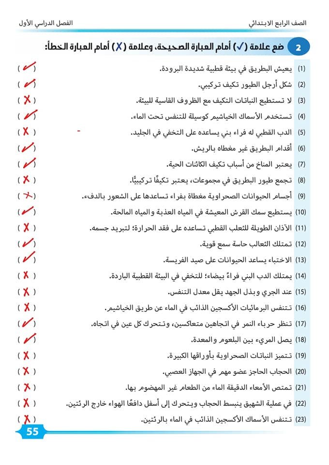 الصف الرابع مراجعة