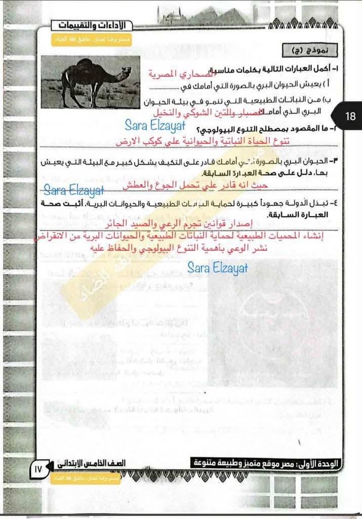 تقييمات الاسبوع الرابع الصف الخامس الابتدائي2