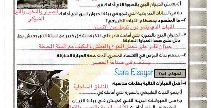 تقييمات الاسبوع الرابع الصف الخامس الابتدائي2