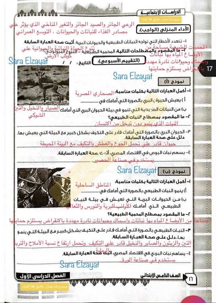 تقييمات الاسبوع الرابع الصف الخامس الابتدائي2