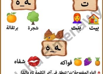 مذكرات لغة عربية مراجعة الصف الثالث الابتدائي